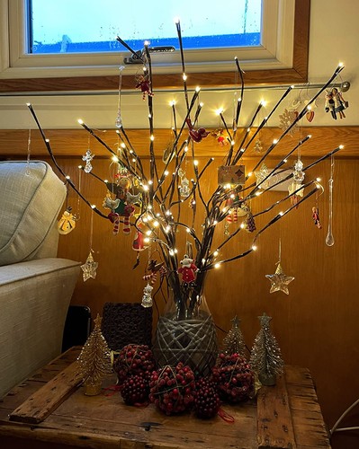 Led twig branch - twig,