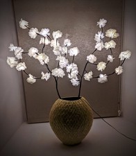 White Blossom Twig Branch