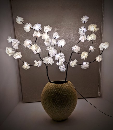 White blossom twig branch - blossom,