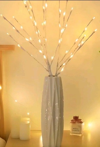 Set 2x20 led twig lights - of,