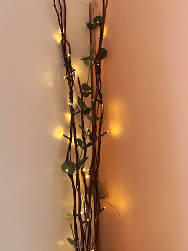 Warm white led twig fairy - 40,