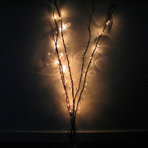 White twig lights - white,