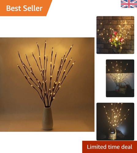 Pack 76cm led twig lights - 3,