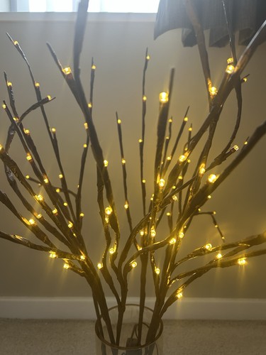 Twig lights battery - lights, 12