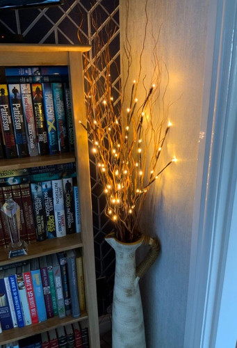 Pack 76cm twig - 3, lights