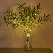 Olive Leaf Tree Branches Light